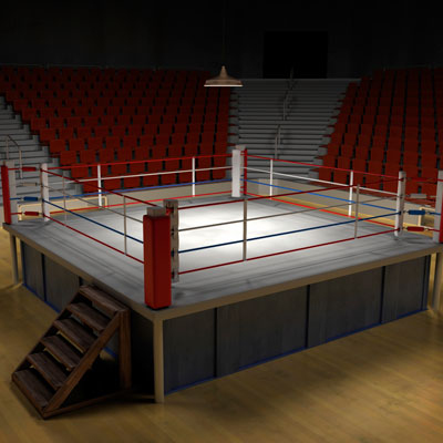 boxing_ring400.jpg