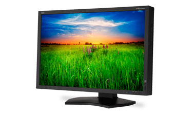 NEC MultiSync Monitor
